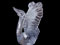 Cisne con alas