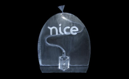 The Nice Ice