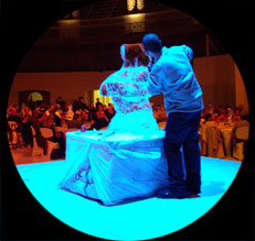 Exhibici&oacute;n en vivo e-days
