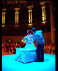 Exhibiciones en vivo