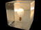 Freezed Bulb
