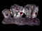 Freezed Roses