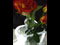 Florero con rosas