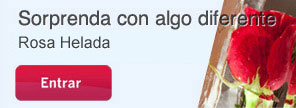 Rosa de Hielo