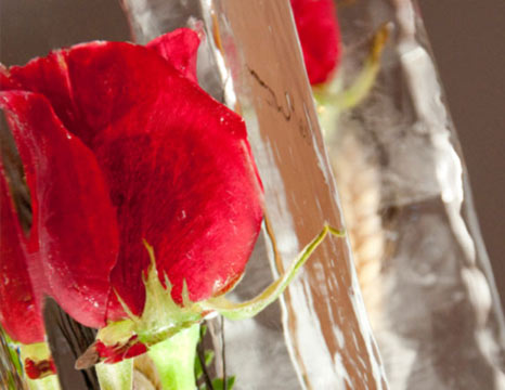 Rosa de Hielo